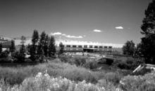 Ecologically appropriate landscaping was a big part of the program for Patagonia’s new distribution center on the Trukee River in Reno, Nevada. - Photo Credit: Miller/Hull